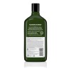 Shampoo De Romero Avalon Organics