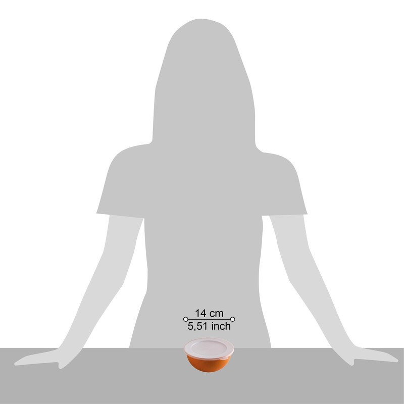 Omada Sanaliving Design Bowl (0.5 Litres) with Polypropylene Lid and