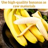Freeze-Dried Banana Slices | Pure Fruit Snack | Crunchy Travel
