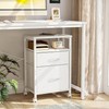 TIQLAB 2 Drawer Mobile File Cabinet, Rolling Printer Stand with