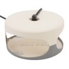 Sticky Dome Flea Capture Trap Bug Trap with 2 Glue