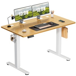 Sweetcrispy Electric Adjustable Height Standing Desk - 48 x 24 inch Sit to Stand Up Desk with Splice Board, Rising Home Office Computer Table with 2 Hook and Wire Hole for Work