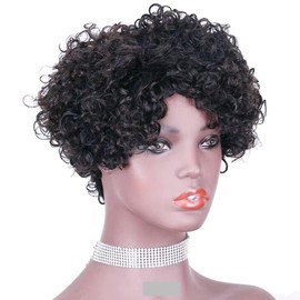 HOTKIS 100% Human Hair Short Curly Wigs for Black Women Black Curly Hair Wigs for African Americans Glueless Curly Wig