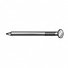 Common Nail, Galv, Flat, 16d, PK220
