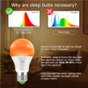 Wivety Sleep Light Bulbs Amber 1600K with Remote Control, Blue