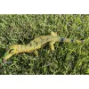 Monitor Lizard Replica - Young Green - AAA Realistic PVC