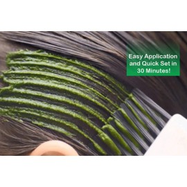 AncientVeda Henna Hair Color | Instant Henna with Applicator Brush and Gloves | 60 grams (Black) (60 Gram, Dark Brown)