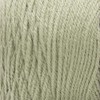 RED HEART Super Saver Yarn, Frosty Green