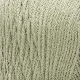 RED HEART Super Saver Yarn, Frosty Green