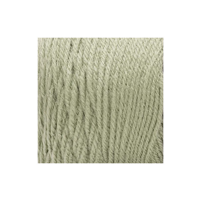 RED HEART Super Saver Yarn, Frosty Green