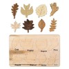 Leaf Wooden Jigsaw Puzzles Leaf Puzzle Educational Learning Toys for