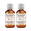 Greenwood Essential Pure Ginger Lily Essential Oil (Hedychium spicatum) Steam