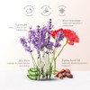 Organic Works Daily Hydration Super Intensive Moisturizer - Hydrating Face