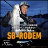 DAIWA SB-Rodem Worm/Lure, 0.6 oz (18 g), Blupin Sardine