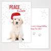 Labrador Love Holiday Card Pack / 25 Cards And Envelopes
