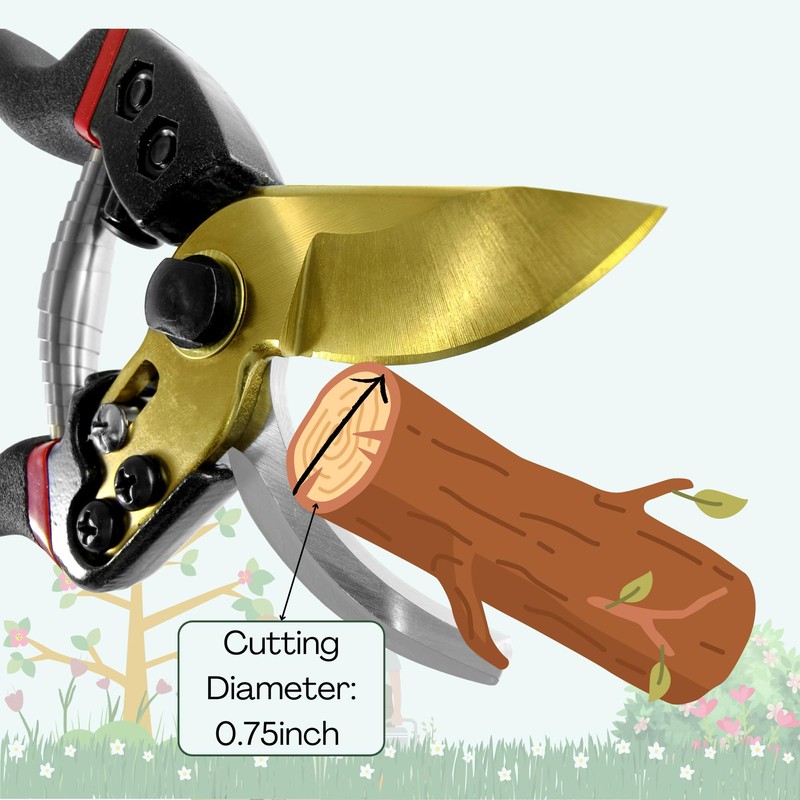 TEYZ secateurs, Titanium Bypass secateurs & Pruning Scissors, Garden secateurs,