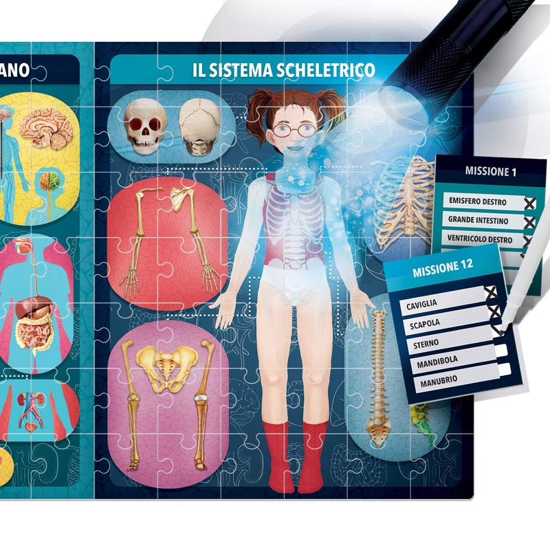 HEADU The Human Body A X-ray 505