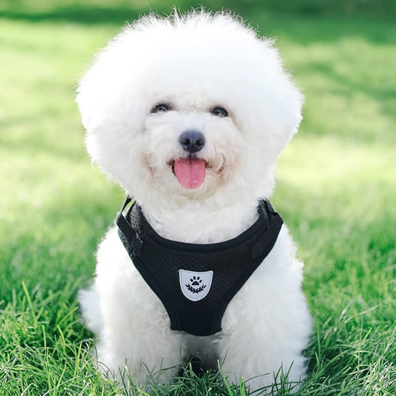 FeiLuo Dog Harness and Lead Set, Soft Mesh Padded Harness