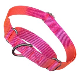 Martingale Collar for Dogs, Dog Choke Collar Escape Proof No Pull Cinch Dog Training Collars Adjustable for Small Medium Large Breed Pet Dogs, Hot Pink L