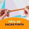 BIC, Lápices de Colores, Punta Resistente, Evolution, Surtido de Colores,