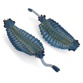 [猫神山] オパビニア 古代生物 フィギュア モデル ミニチュア 置物 インテリア コレクター 模型