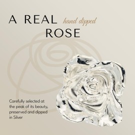 Forever Rose Leather Case Bundle - a Genuine, One of a Kind, Real Rose Hand Dipped in Silver with Beautiful Leather Case with LED Lights