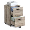 VASAGLE 2-Drawer File Cabinet, Small Rolling Filing Cabinet for Home