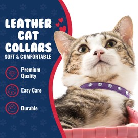 Athens Cat Collar, Leather Kitten Collar w/Rhinestones, Sturdy Breakaway Cat Collar with Bell & Elastic Stretch, bCat Accessories, Orchid Purple, 10 x ½ inches - Angel Pet Supplies