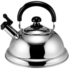 Takei Kisakusho Quick One Energy Saving Whistling Kettle, 0.6 gal (2.5 L) TK-250