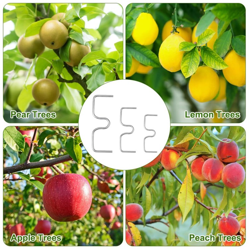 Pack of 30 Branch Supports for Fruit Trees, 13/10/8 cm