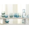 Santa Barbara Design Studio Seeded Drinking Glasses, Roly Poly Tumbler,