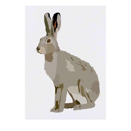 'Hare' Temporary Tattoo - Water Resistant, Skin-Safe, Non-Toxic Transfer (TO00033066)