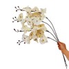 Artificial Orchid Stems Set of 4 ,30" Dancing Orchid,UV Resistant