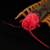 capybaraflying Simulation Centipede Plush Toy, Cambrian Ancient Creatures Lifelike Centipede