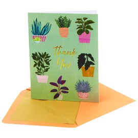 NIQUEA.D Boxed Note Cards, Houseplants, Includes a Blank Customizable Interior and Coordinating Envelope, Set of 10 (NBB-0019)