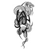 6 Blätter Temporäres Cobra Tattoo Schlange Tattoos Arm Tattoo Cobra6