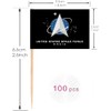 100 Pcs USA Space Force Toothpicks Flag Small Mini Cocktail