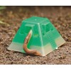 Earth Chemical Earth Garden Slugs Welcome to Slugs, Pack of