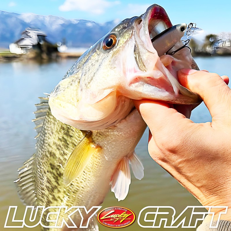 LUCKY CRAFT Pointer SP 65 mm Wobbler Lure Artificial Bait