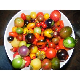 Pack of 100 Seeds From a Mix of 50 DIFFERENT KINDS of Cherry Tomatoes! See List