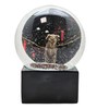 10010 Snow Globe Stock Exchange, Glass Globe Bull & Bear,