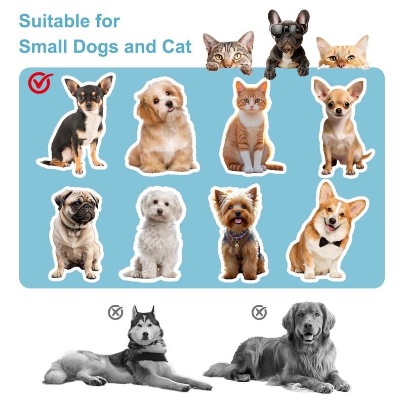 NAILDOKI Movable Structure Pet Stairs Ramp with Cats/Dogs Chair with
