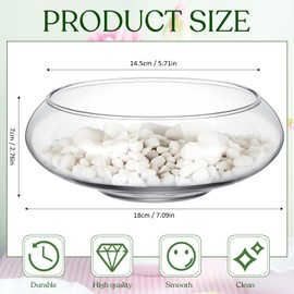 Baderke 6 Pcs Hydroponic Planter Lotus Flower Pot Planter Lotus Bowl Clear Glass Fish Bowl Vase for Planting Indoor Home Decor Water Lily Narcissus Planting Water Lily