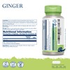Ginger - 100 Vegan Capsules - High Strength Ginger Supplement
