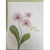 PAPYRUS ORCHID FLOWERS BLANK INSIDE ALL OCCASIONS CARD