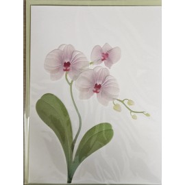 PAPYRUS ORCHID FLOWERS BLANK INSIDE ALL OCCASIONS CARD