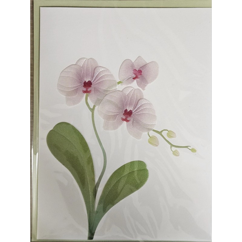 PAPYRUS ORCHID FLOWERS BLANK INSIDE ALL OCCASIONS CARD