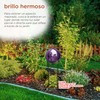 Alpine Corporation 10" Diameter Indoor Outdoor Glass Gazing Globe Garden