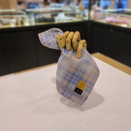 Daks 대구백화점 닥스이중직 선염 손수건(DES1200) Daegu Department Store Daks Double-Woven Printed Handkerchief (DES1200)