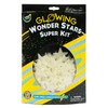 Great Explorations: Wonder Stars Super Kit, Glow In The Dark